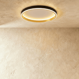 Esperanza Ceiling Light