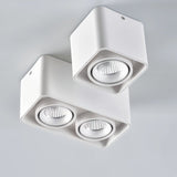 Eugenia Downlight