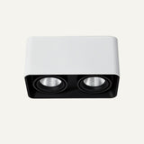 Eugenia Downlight