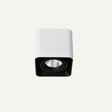 Eugenia Downlight