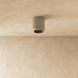Graziella Downlight