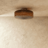 Hasos Ceiling Light