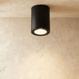 Hunar Downlight