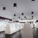 Hunar Downlight