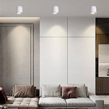 Hunar Downlight