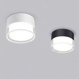 Ian Downlight