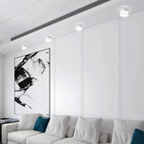 Ian Downlight