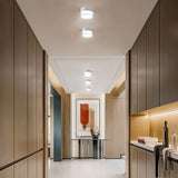 Ian Downlight