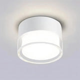Ian Downlight
