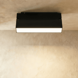 Ishir Track Light System
