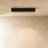 Janae Track Light System