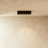 Janae Track Light System