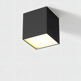 Kaiden Downlight