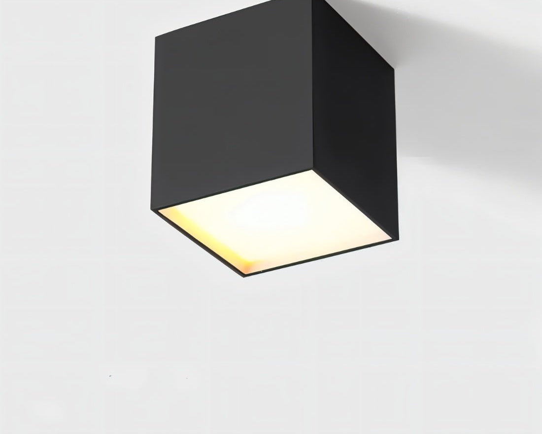 Kaiden Downlight