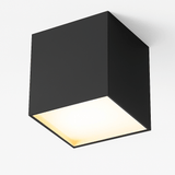 Kaiden Downlight