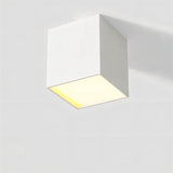 Kaiden Downlight