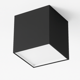 Kaiden Downlight