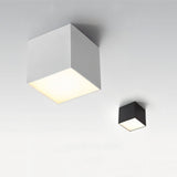 Kaiden Downlight