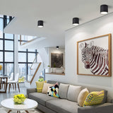 Kelis Downlight