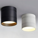 Kelis Downlight