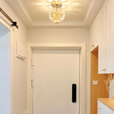 Naqi Crystal Ceiling Lamp