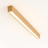 Neiro Ceiling Light