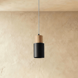 Nouveau Pendant Light