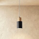 Nouveau Pendant Light