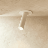 Photine Ceiling Light