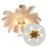 Plume Chandelier