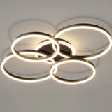 Roshan Ceiling light