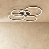 Roshan Ceiling light