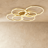 Roshan Ceiling light