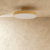 Rupert Ceiling Light