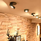 Simon Downlight