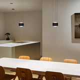 Tejas Pendant Light