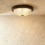 Tevzo Ceiling Light