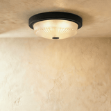 Tevzo Ceiling Light