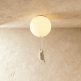 Up Ceiling Light