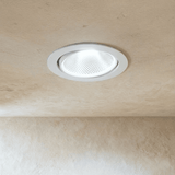 Zalie Downlight